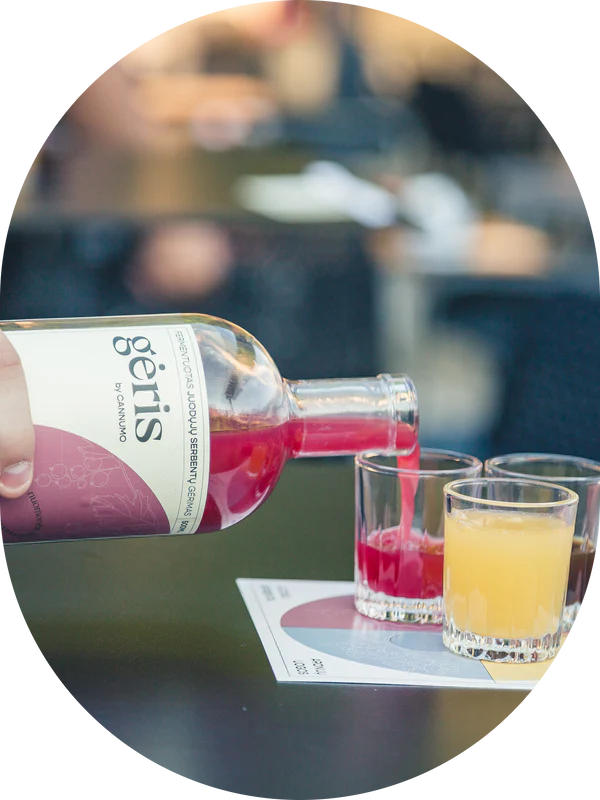 GĖRIS - fermentuotas juodųjų serbentų gėrimas