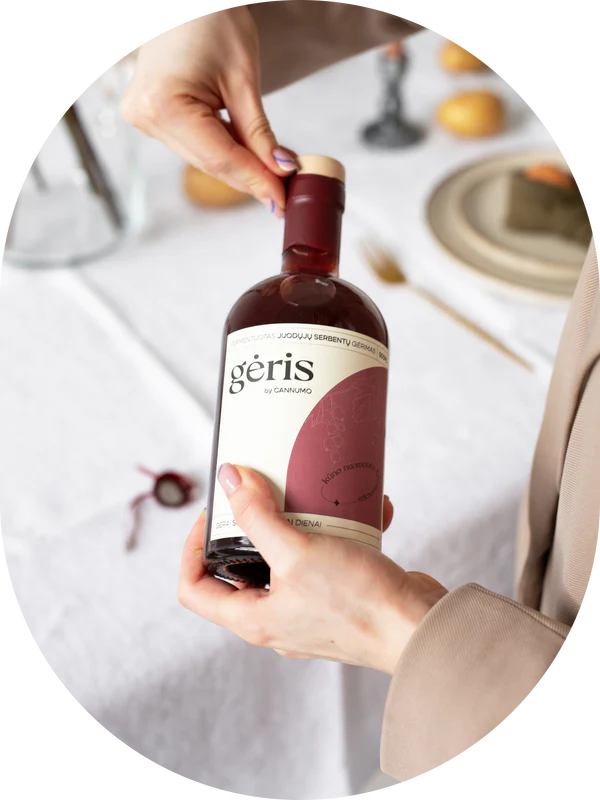 GĖRIS - fermentuotas juodųjų serbentų gėrimas