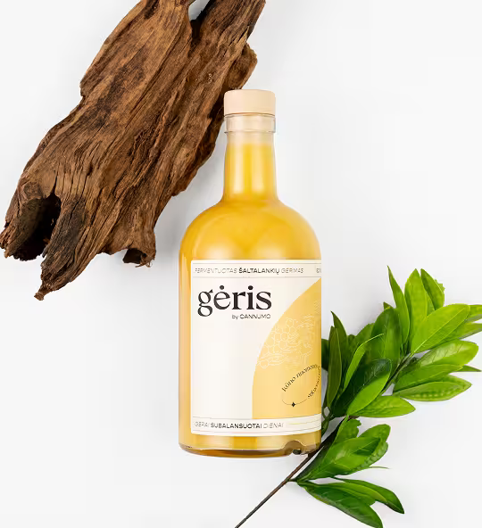GĖRIS - fermentuotas šaltalankių gėrimas