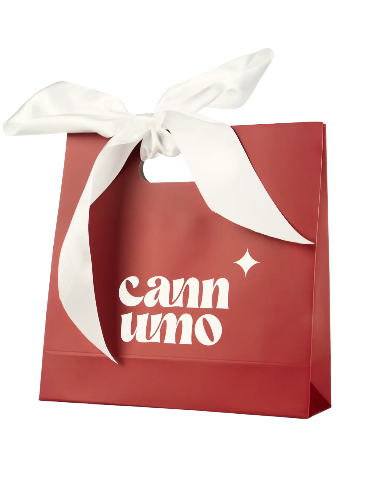 Šventinis dovanų maišelis – Cannumo